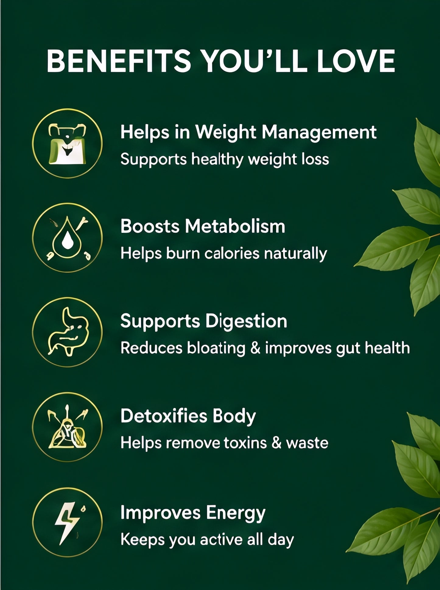 AYURVEDIC WEIGHT LOSS POWDER 100 gm